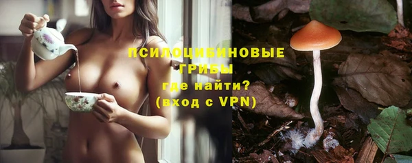 стаф Гусев