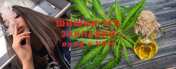 стаф Гусев