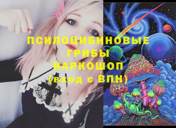 spice Бронницы