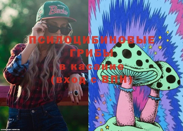 стаф Гусев