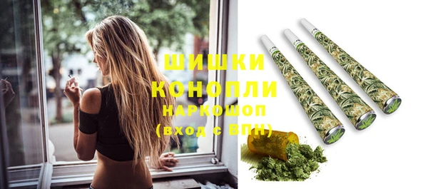 стаф Гусев